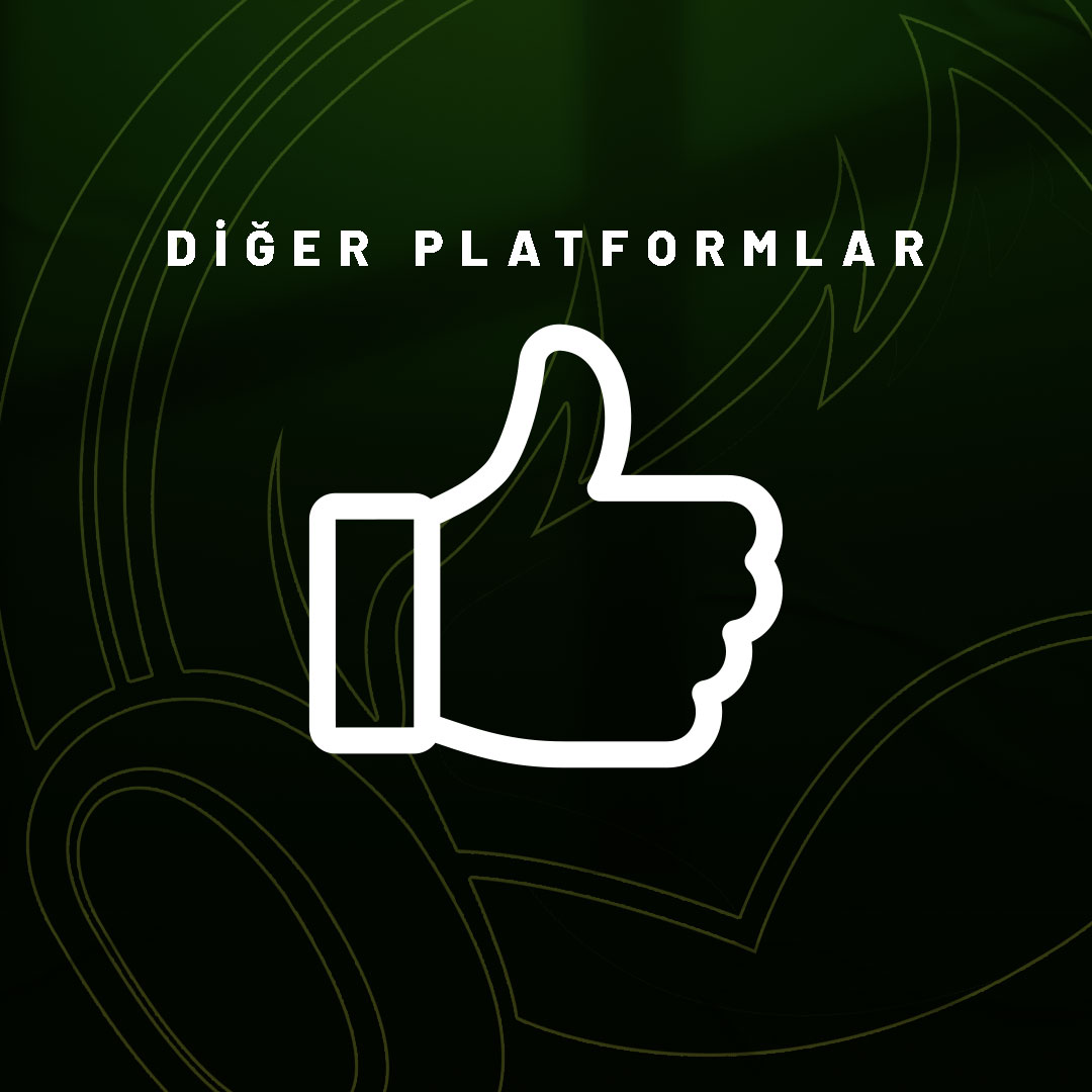 Diğer Platformlar