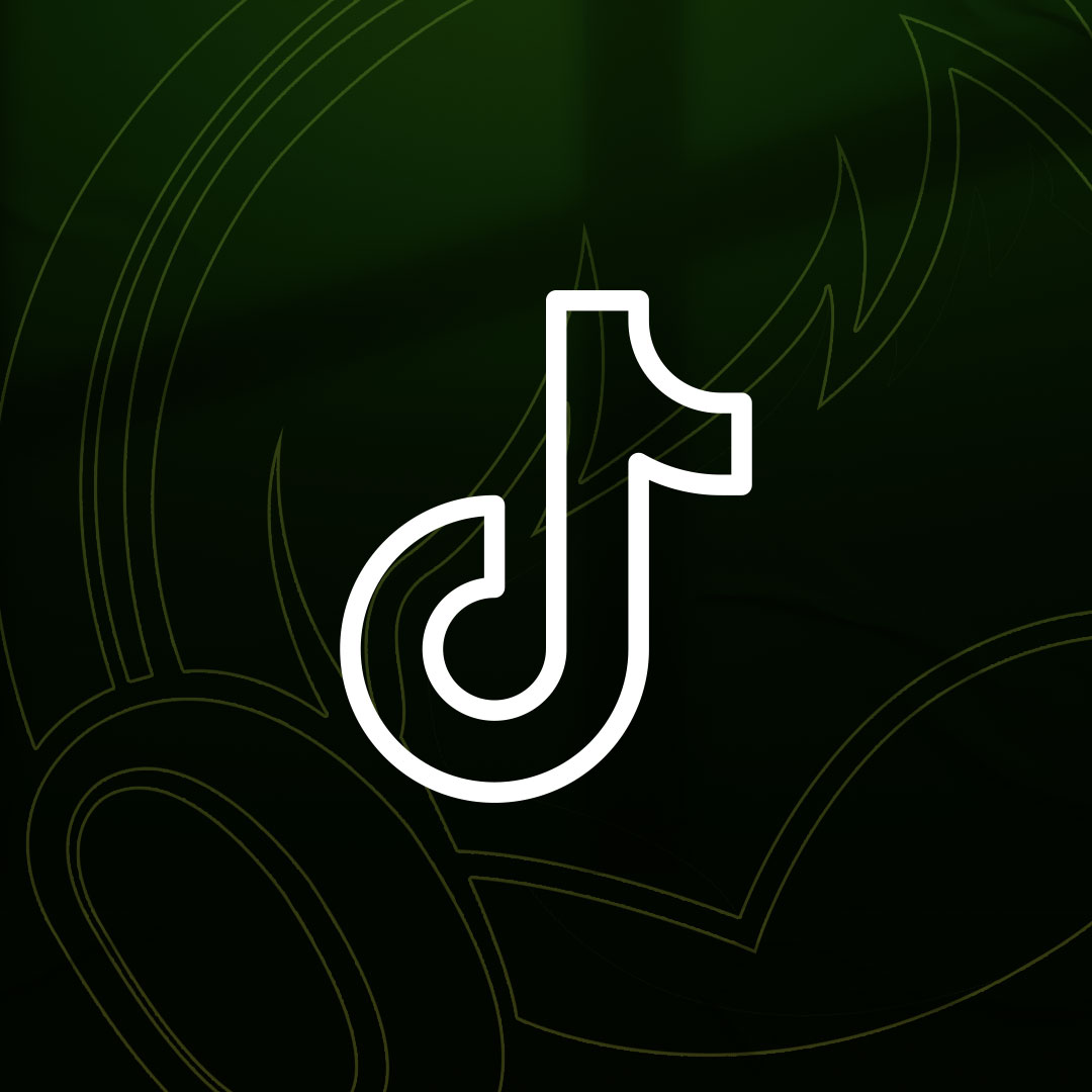 TikTok Hizmetleri